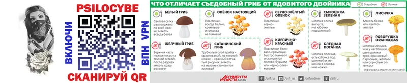 Псилоцибиновые грибы MAGIC MUSHROOMS  магазин  наркотиков  mega ссылки  Александровское 